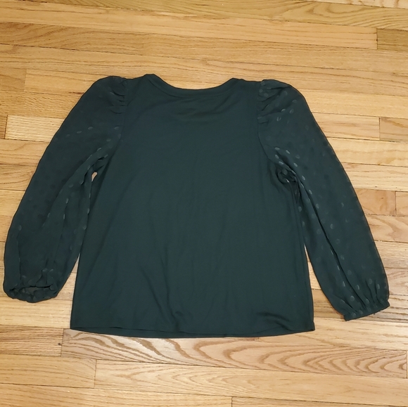 Loft Forest Green Sheer Sleeve Top - Picture 6 of 7